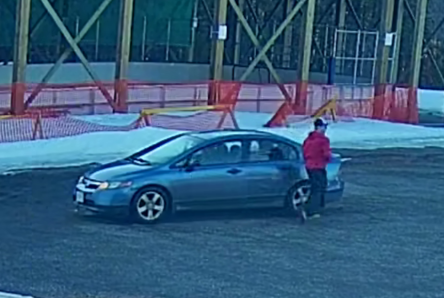 blake-hall-donut-driver-1
