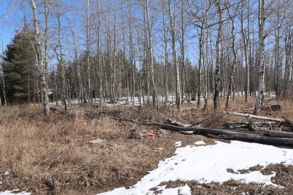 proposed-shelter-village-lot