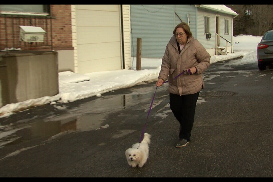 Resident Brenda Levesconte said, “I was just shocked” after learning the city wants to put the shelter village next to her home. (Jon Wilson/TBT News)