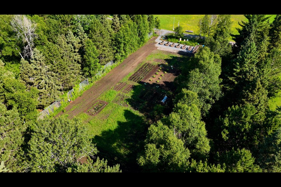 An aerial view of the reimagined Confederation College community garden.