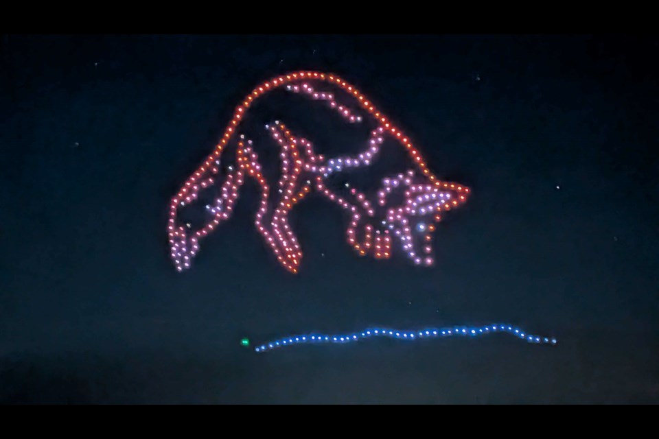Hundreds of drones were used to simulate a fox jumping into the snow over at Marina Park on Aug. 28, 2025