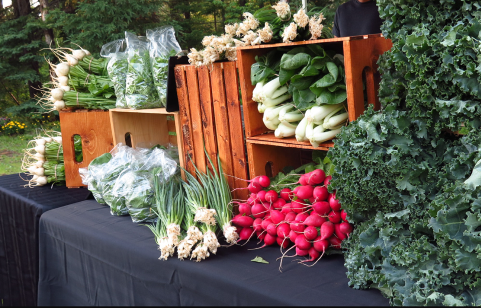 kakabeka-farmers-market-website-crops-photo