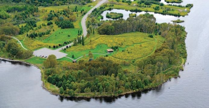 mission-marsh