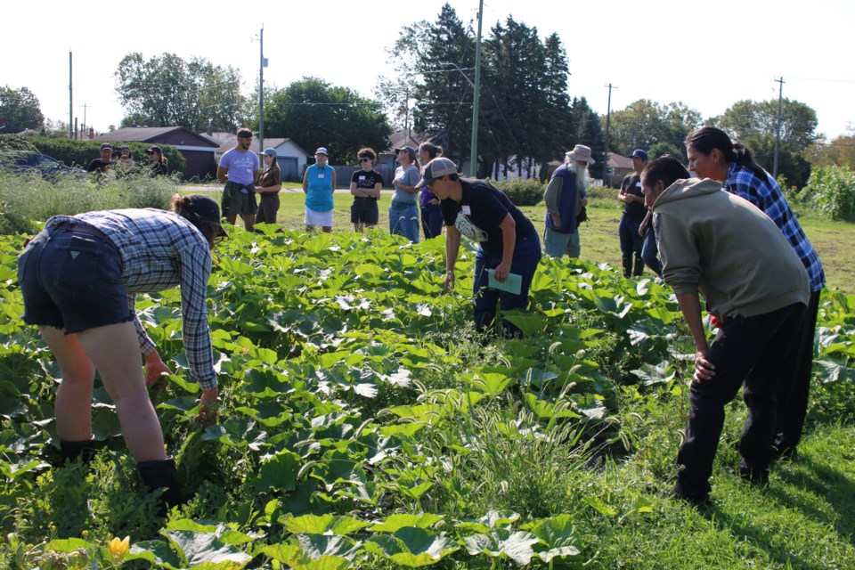 Lakehead University, the Lakehead University Agricultural Research Station (LUARS) and the Roots Community Food Centre team up to hold a ‘Seeds of Change’ tour on Aug. 30. The tour follows a discussion held for the project the previous day.