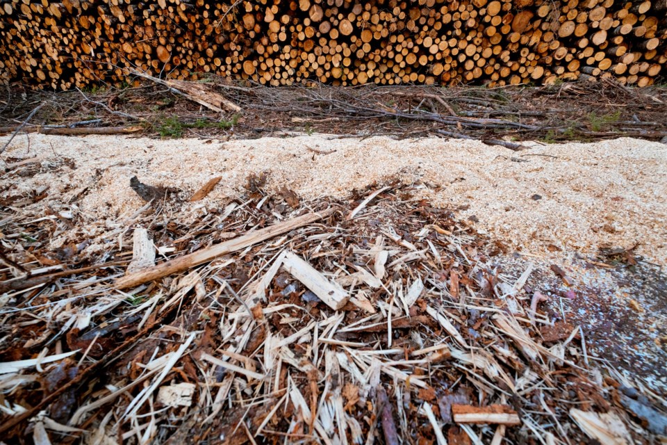 wood-waste