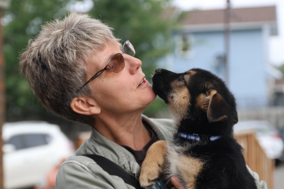 Donna White, a volunteer with Paws for Love and Schroeder a male husky mix up for adoption 