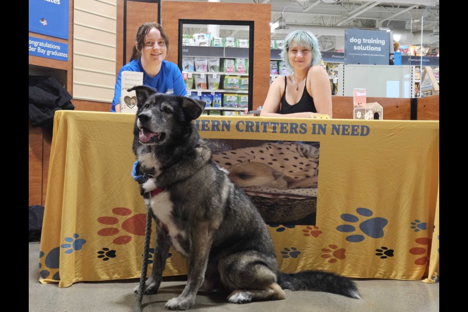 Northern Critters In Need makes a stop at PetSmart on July 27 for a PetSmart Charities of Canada adoption week.