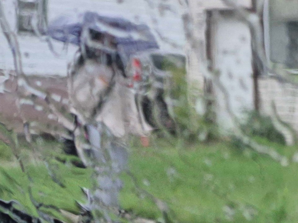 rain-2025-ln