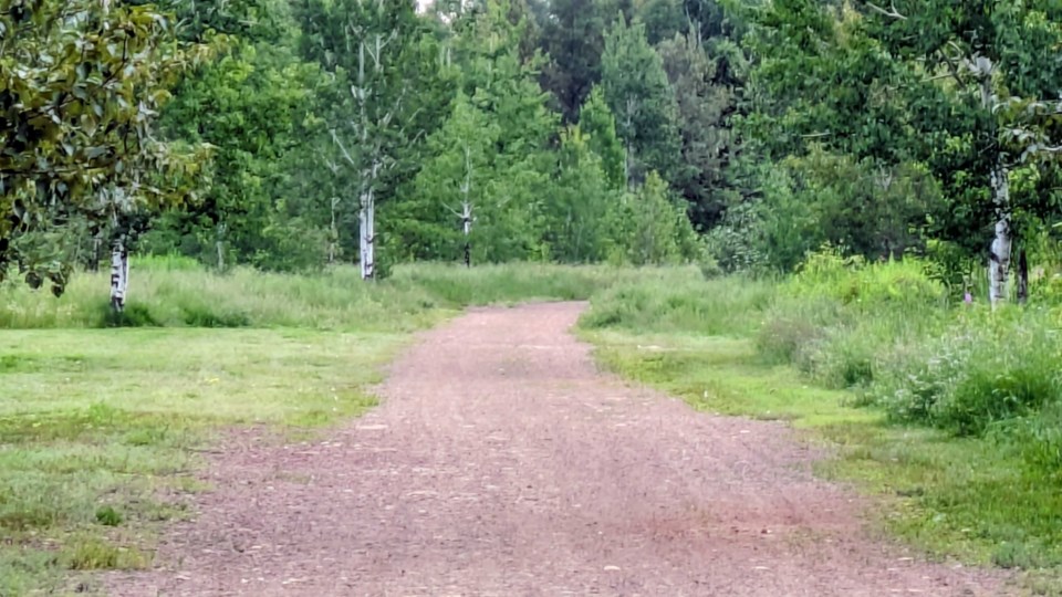 hillyard-site-carrick-st-dog-park3-july-22-2025