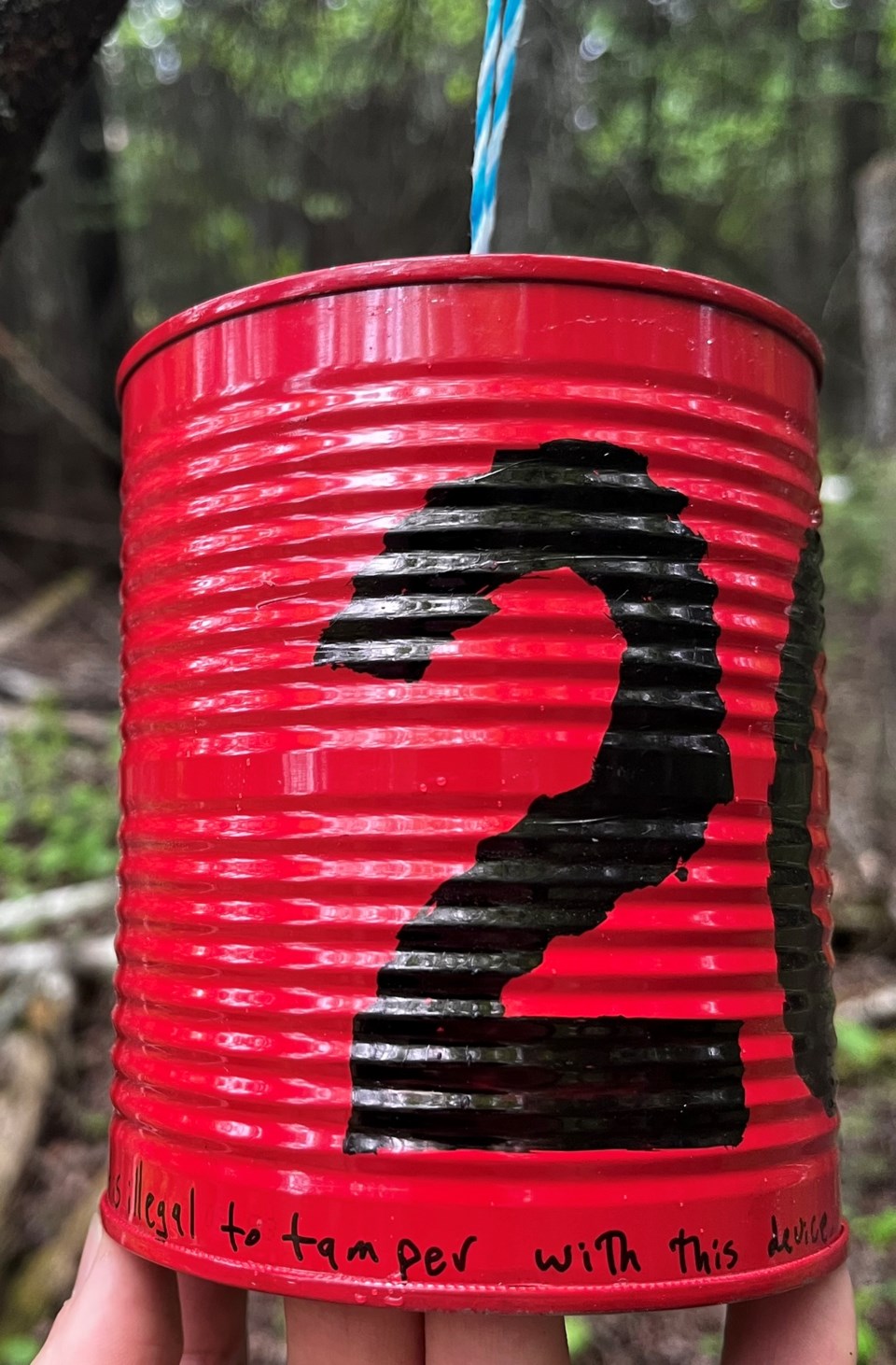 black-sheep-tin-can-challenge