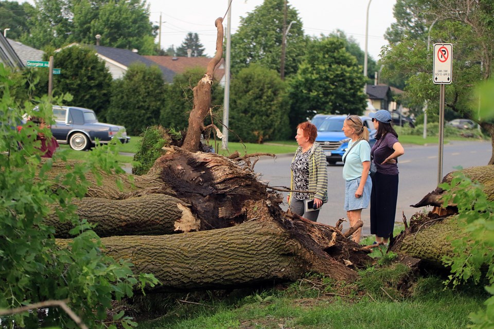 wind-storrm-2025-mary-street-3