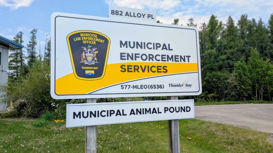 city-pound-june-6-2025