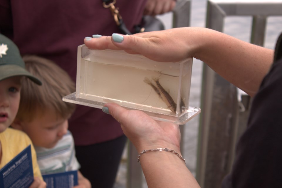 Aquatic Invasive Species: Learn from a Lamprey, led by the LRCA with guess speaker Michelle Willows. (Penny Robinson)
