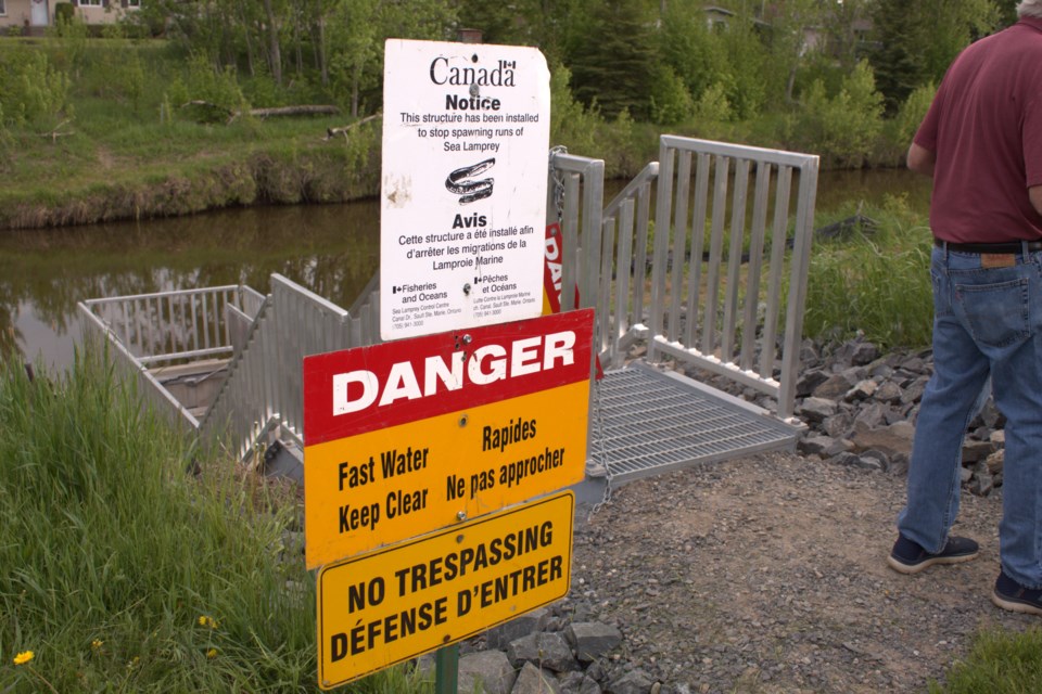 Neebing River sea lamprey trap. (Penny Robinson)