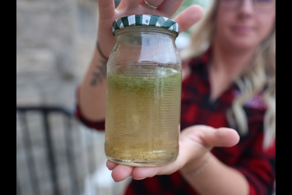 A sample of blue-green algae being displayed in Thunder Bay. (FILE)