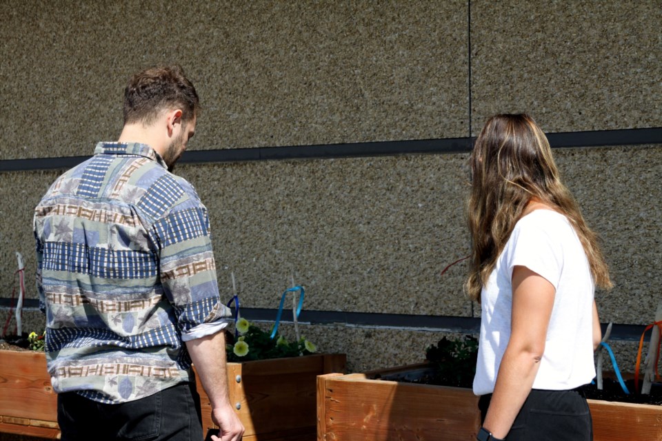 Andrew Base and Meghan Hindman looking at the newly planted talking sticks on June 26, 2025.