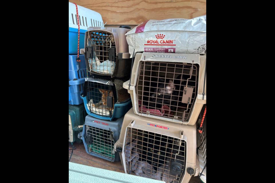 Animals with Northern Reach Rescue Network traveling.
