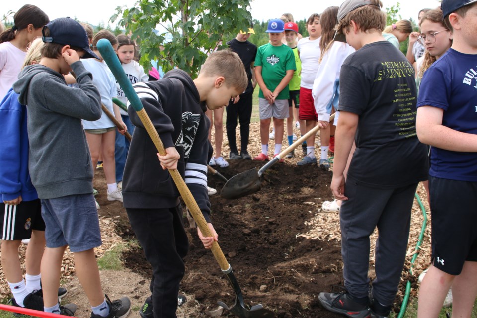 Nor'wester View Public School students get their hands dirty planting 14 trees in their school's playground on June 26.