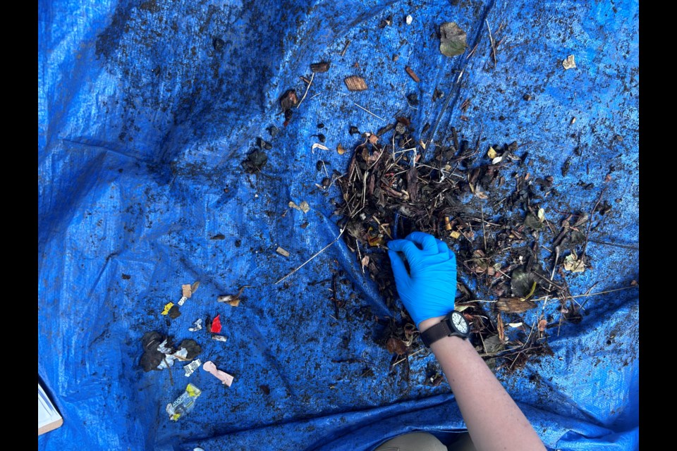 One of the sample collections taken from a LittaTrap.