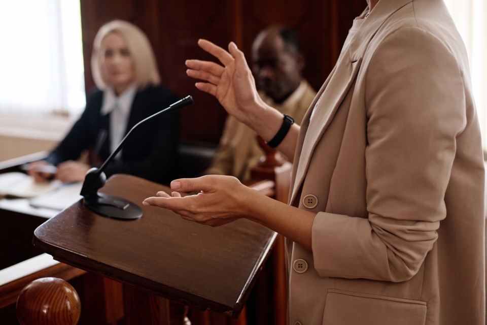 court-hearing-anna-stills