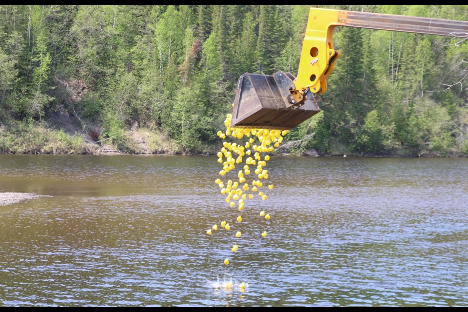 Around 2000 ducks take to the water at the Fort William Historical Park for the Kam River Ultimate Duck Race’s second year on May 31.