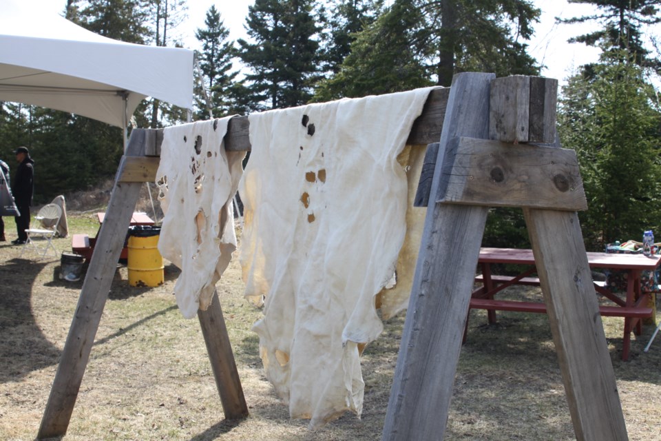 fwfn-hide-tanning-may-25
