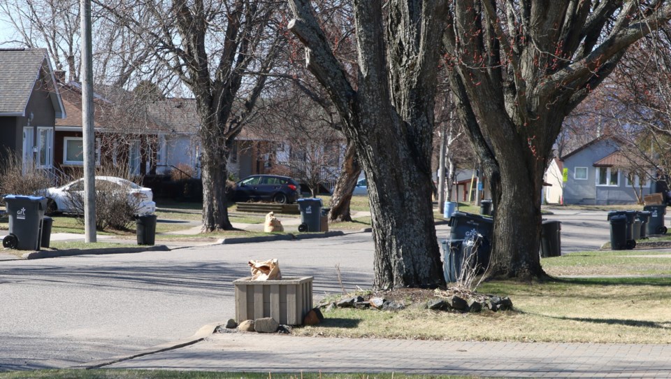 leaf-and-waste-collection