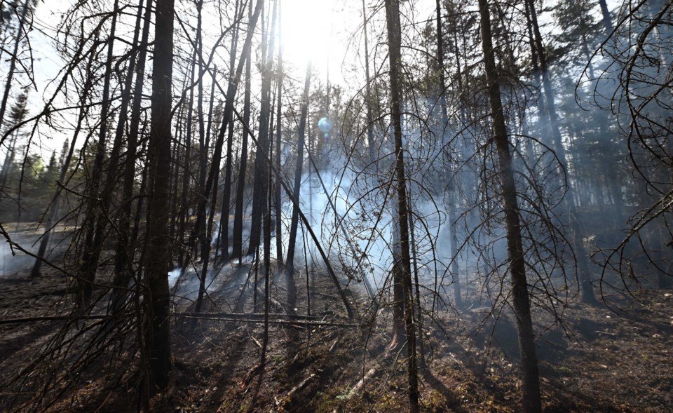 ken017-smokeblack-forest-fire-may12-marchand-web