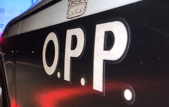 opp-car-june-cropped