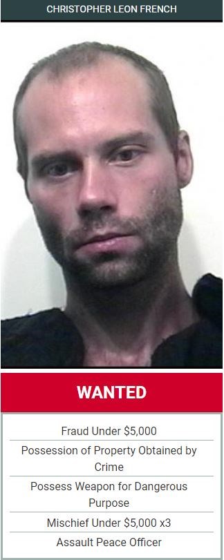 Wanted Wednesday (May 15)