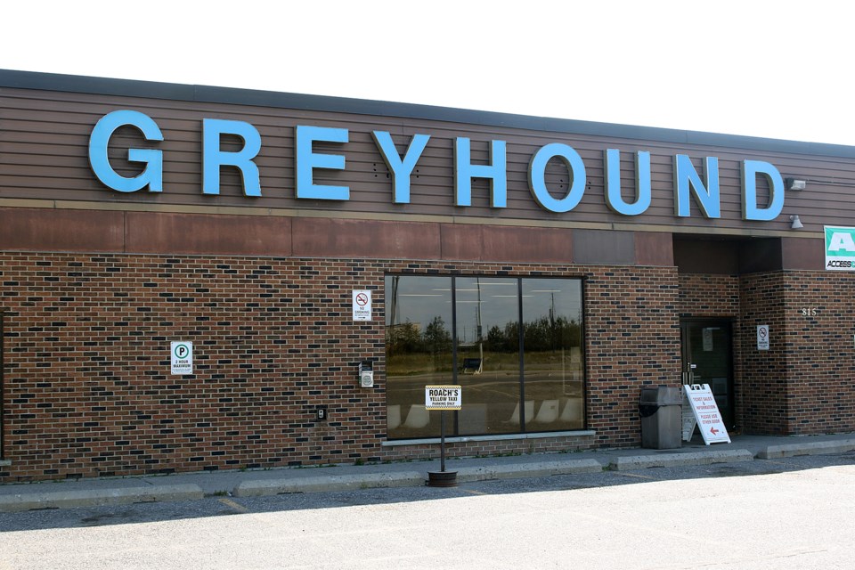 Greyhound