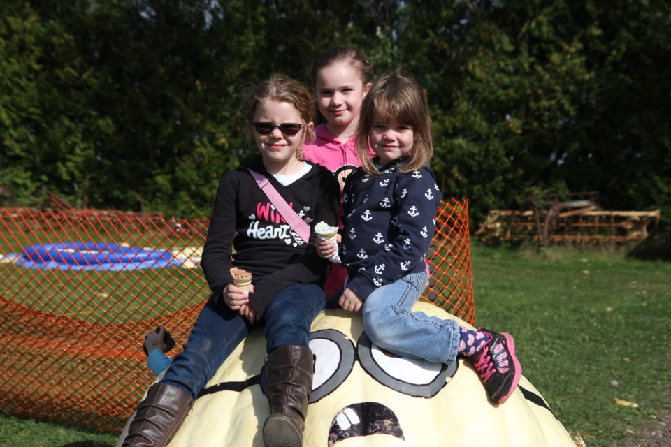 Taylor (left), Samantha and Ashleigh Matheson enjoy the day al Belluz Farm for the annual Pumpkin Mania event.