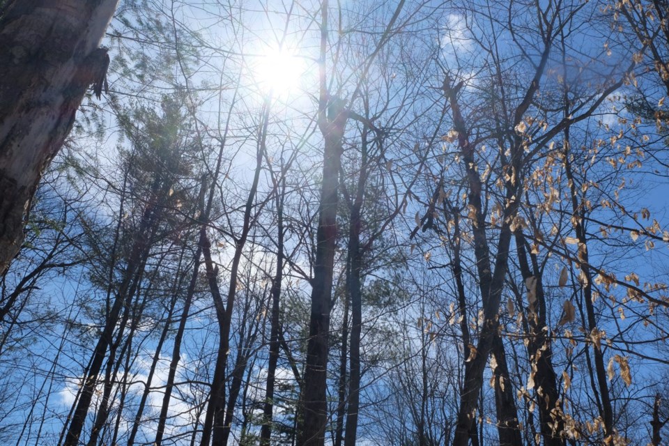 sunshine in fall or winter