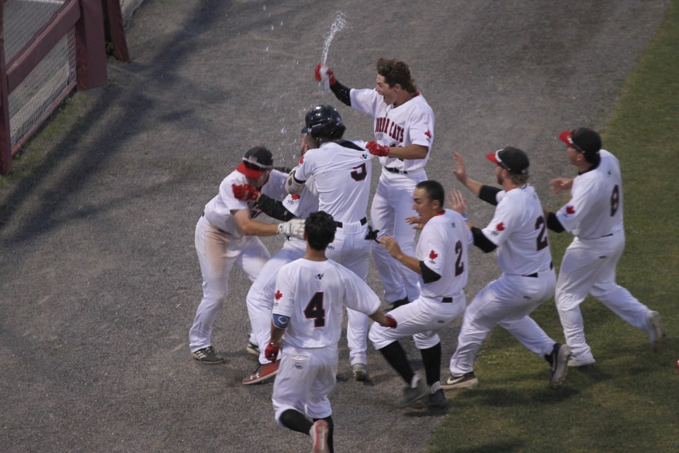 The Border Cats mob Ryne Edmondson in a post-game celebration following his walk-off double. (Michael Charlebois, tbnewswatch)