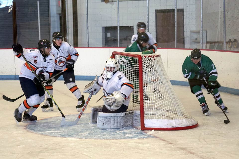 North Stars Norskies