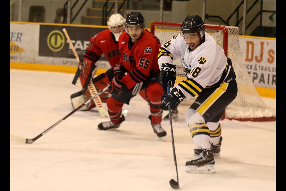 Lakehead's Devin Fullum (right) maneuvers the puck on Friday, Jan. 6, 2017 against Brock Badgers defender Jeff Corbett at Fort William Gardens (Leith Dunick, tbnewswatch.com).