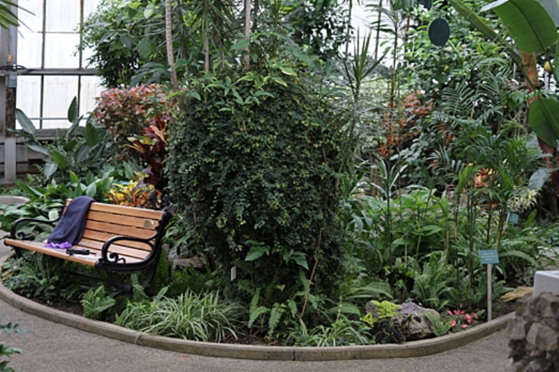 The Centennial Botanical Conservatory. (tbnewswatch.com/FILE)