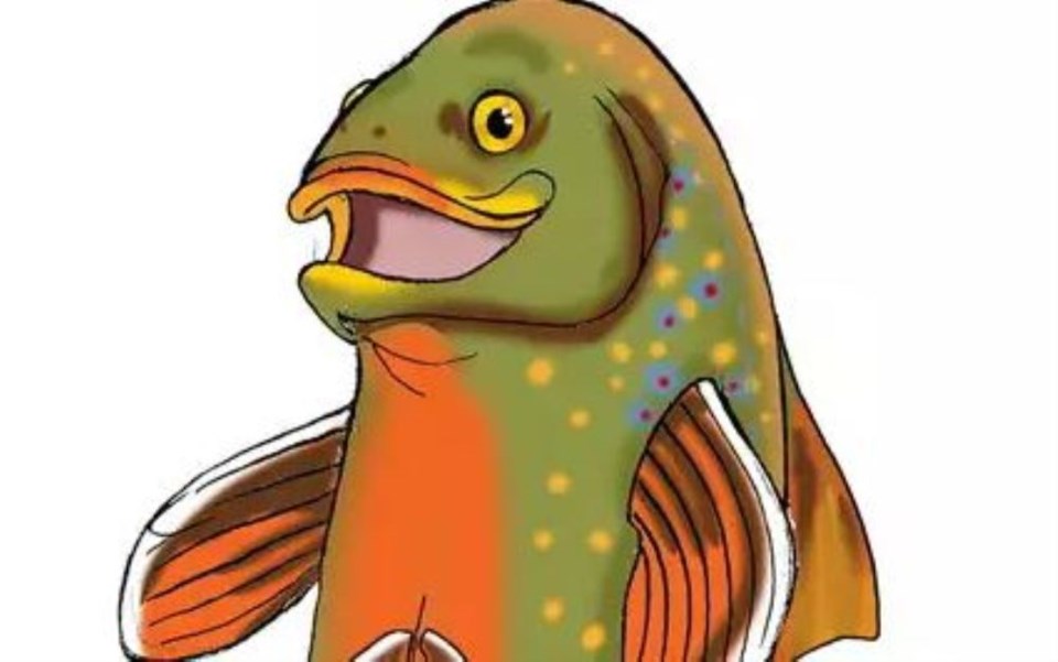 372522_17809519