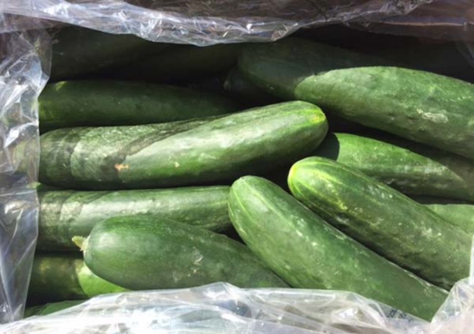 Cucumber Recall 2025 List Today Nedi Tanhya