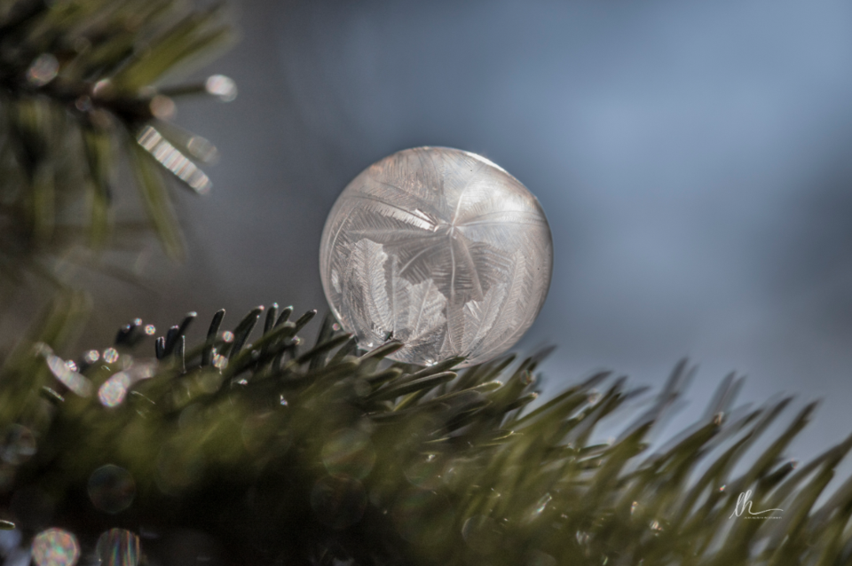 Frozen bubbles