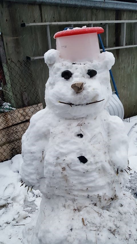 Snow bear