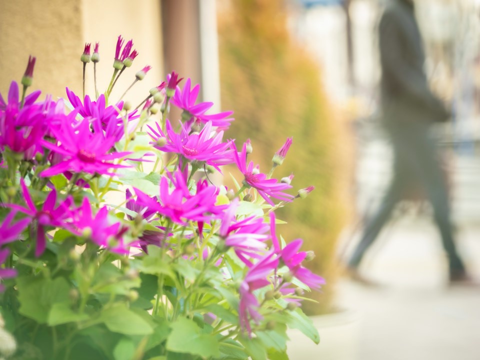 planter-street-clean-street