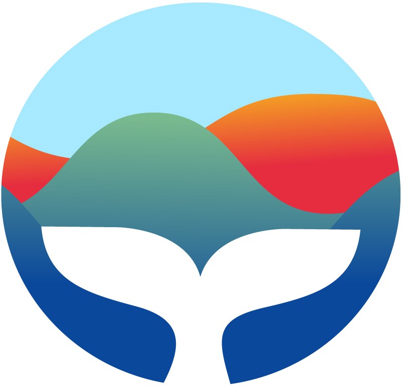 TheOrca_Logo-image
