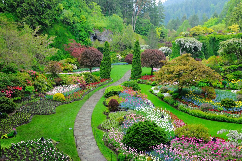 Butchart,Garden,In,Spring,,Victoria,,British,Columbia,,Canada