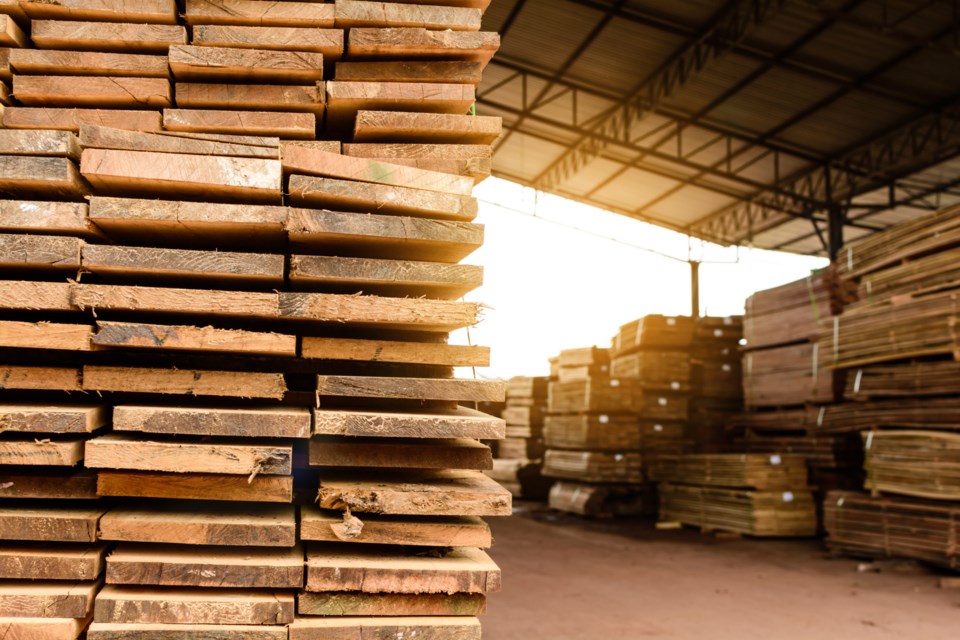 Wood,Factory,Stock,And,Lumber,Board,With,Nature,Business,Export