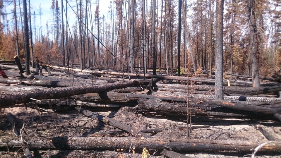 Damage,Caused,By,The,Dog,Creek,,Bc,Wildfire.