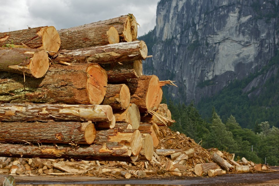 Wood,Logs,Stock,Pile,-,Wood,Manufacturing.,British,Columbia,,Canada