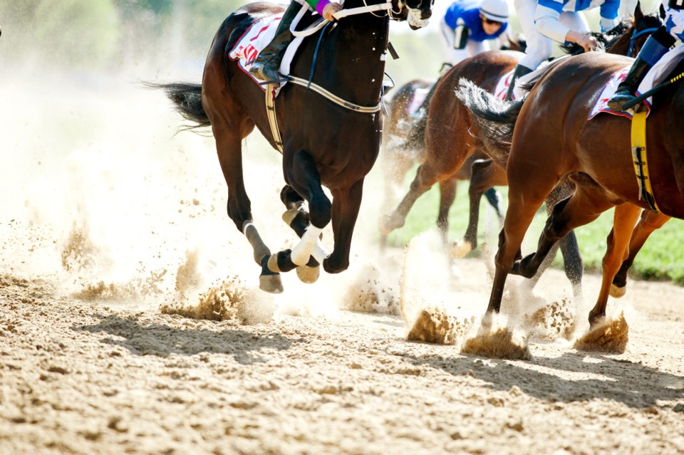 Horse,Racing,Details,Of,Galloping,Horses,Legs,On,Hippodrome,Track