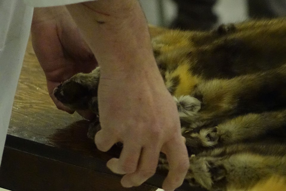 furs at 2019 thompson fur tables