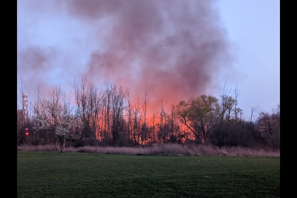 A grass fire raged in the area of Beaverdams Rd. and Ormond St. last night.